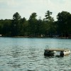 BRYANELKUS_304684