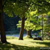 BRYANELKUS_304752
