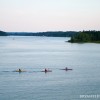 BRYANELKUS_305166