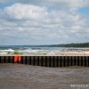BRYANELKUS_305471