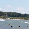 BRYANELKUS_305772