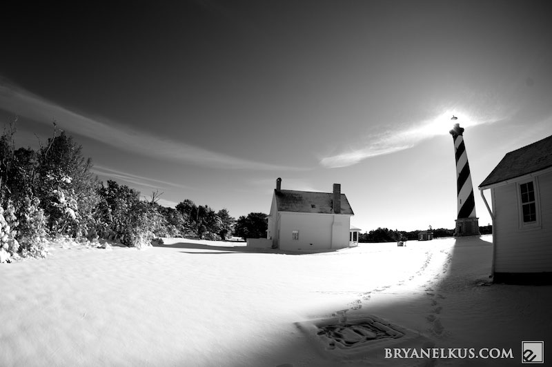 BRYANELKUS_203159