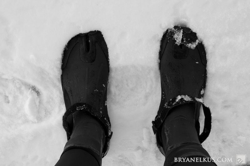 BRYANELKUS_203626