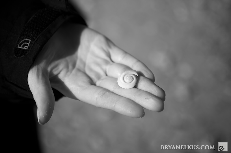 BRYANELKUS_204742