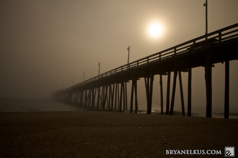 BRYANELKUS_204967