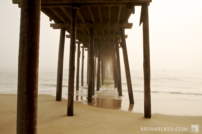 BRYANELKUS_204975