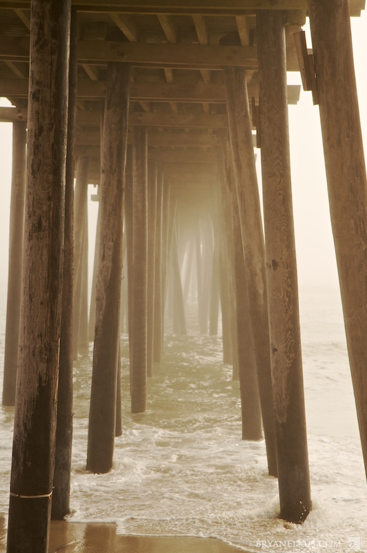 BRYANELKUS_204978