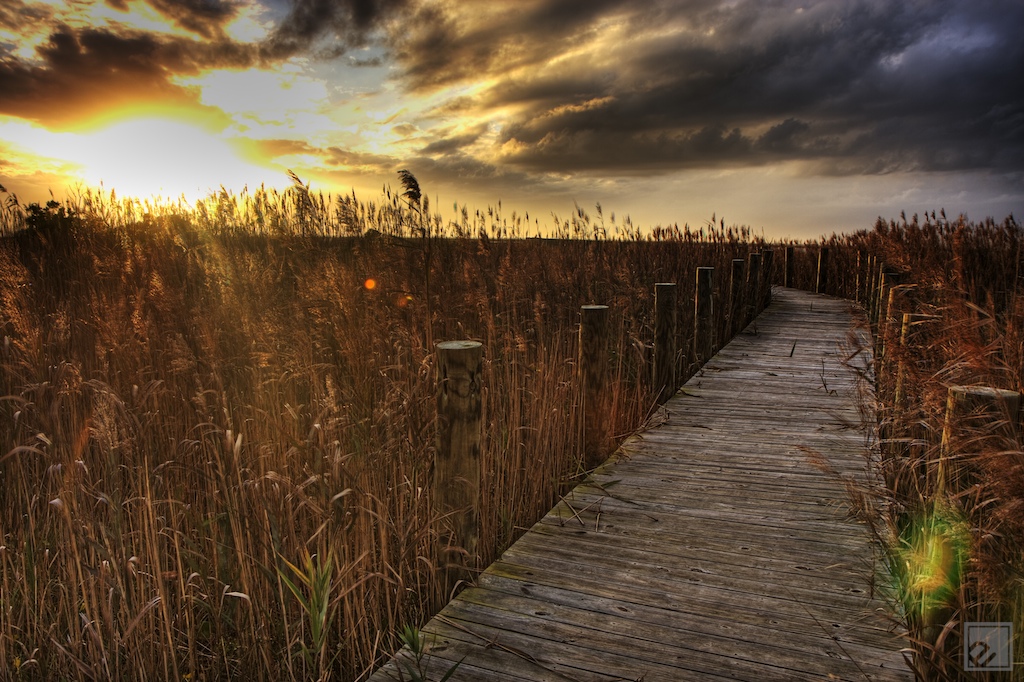 Cape Hatteras