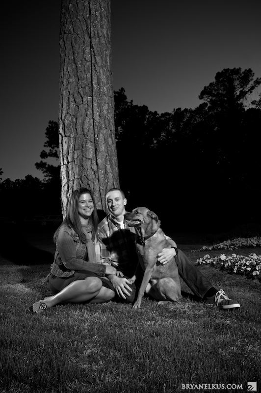 BRYANELKUS_212378 – Version 2