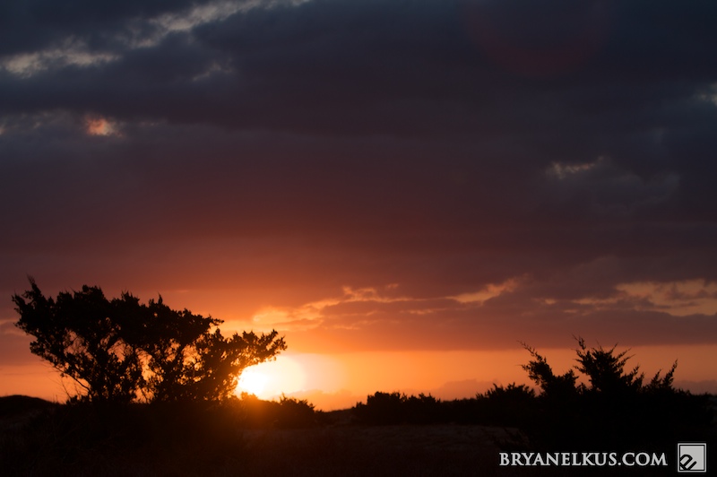 BRYANELKUS_212746