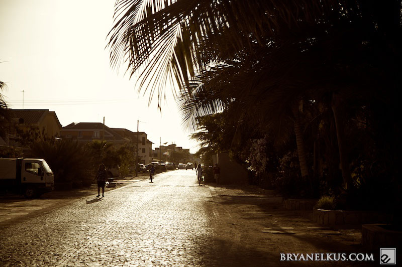 BRYANELKUS_224946