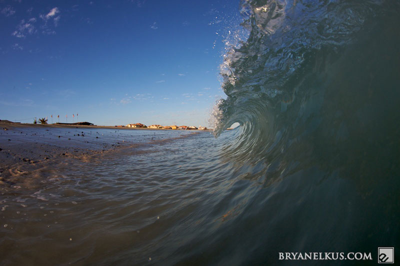 BRYANELKUS_225028