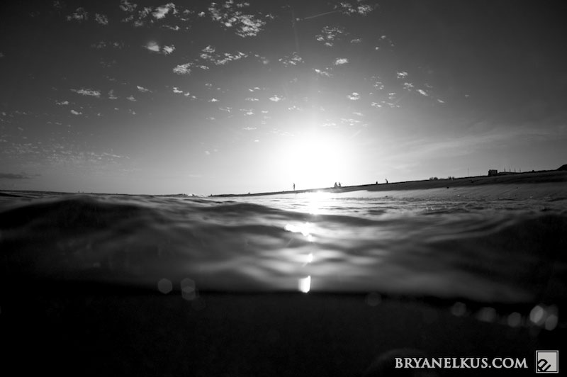 BRYANELKUS_225097