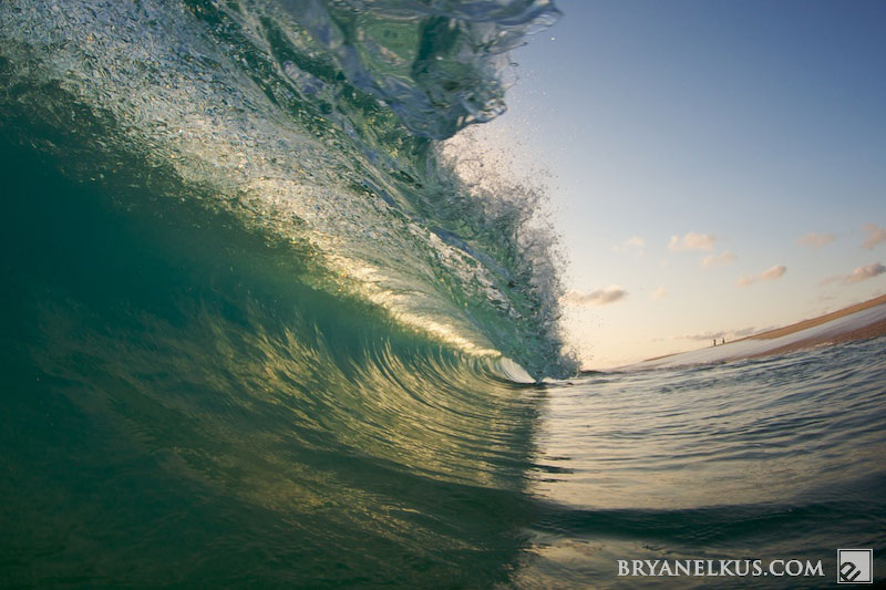 BRYANELKUS_226196