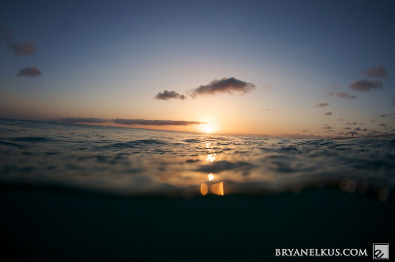 BRYANELKUS_226464