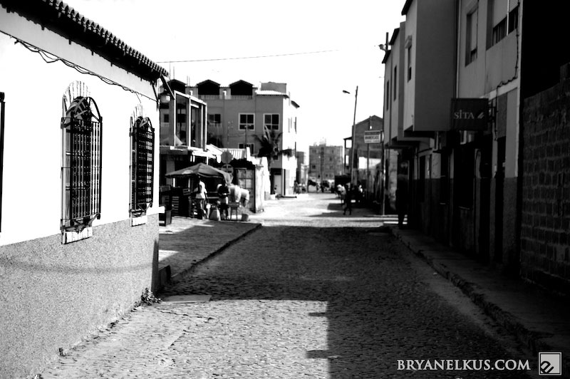 BRYANELKUS_226582
