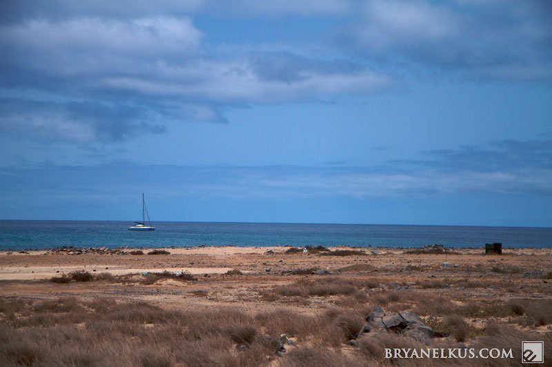 BRYANELKUS_226681