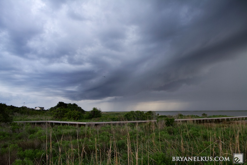 BRYANELKUS_236045b