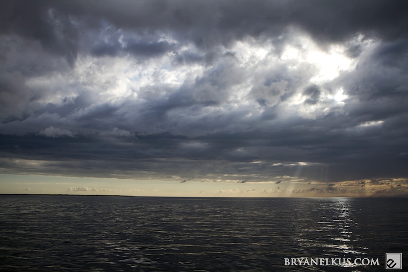 BRYANELKUS_236075b