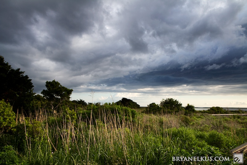 BRYANELKUS_236082b