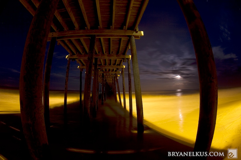 BRYANELKUS_236241b