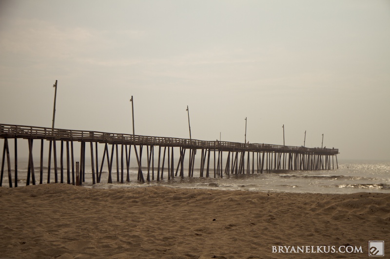 BRYANELKUS_248962