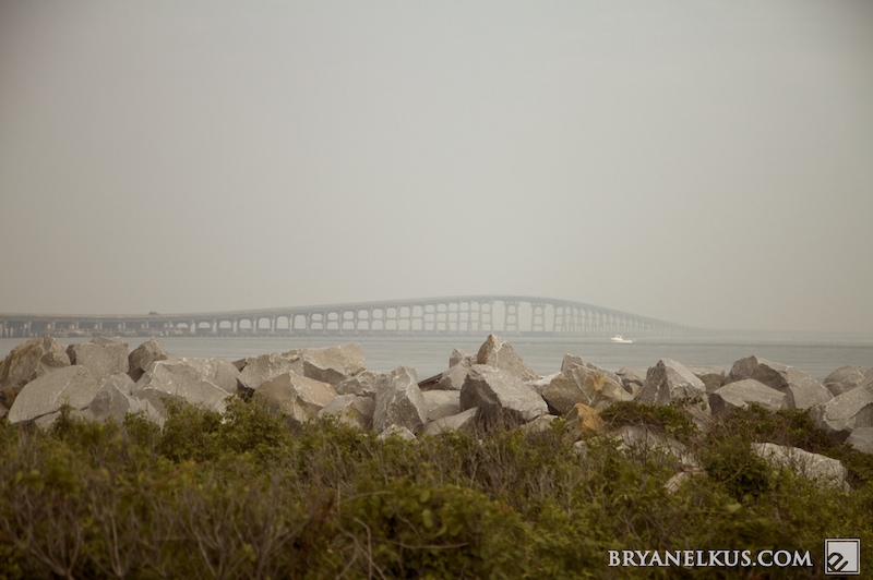 BRYANELKUS_248976