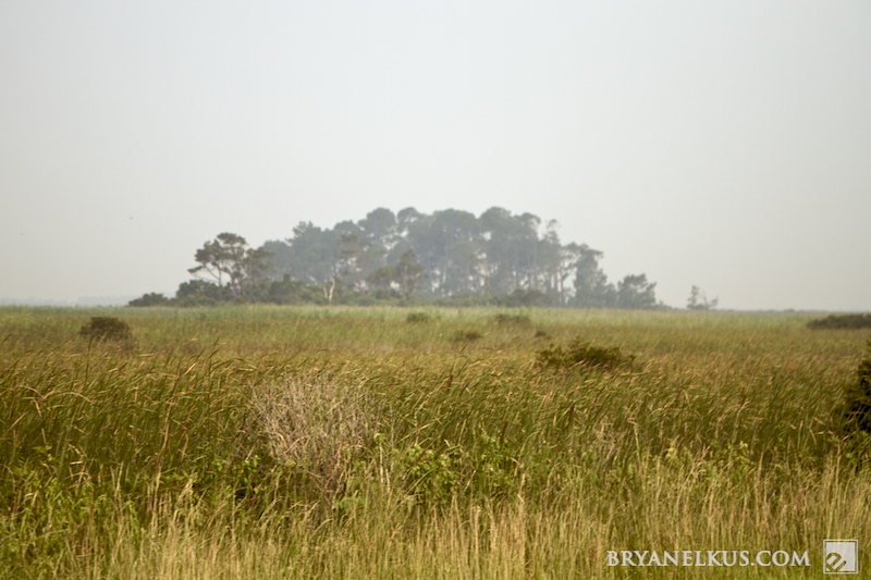 BRYANELKUS_249008