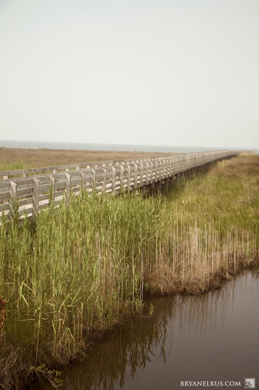 BRYANELKUS_249025