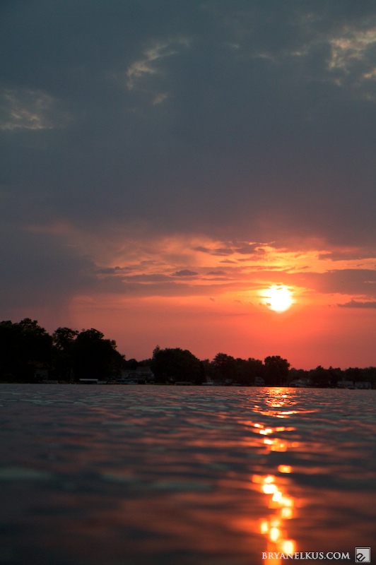 BRYANELKUS_249703