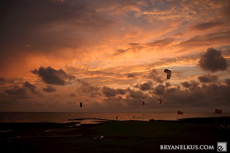 BRYANELKUS_255858