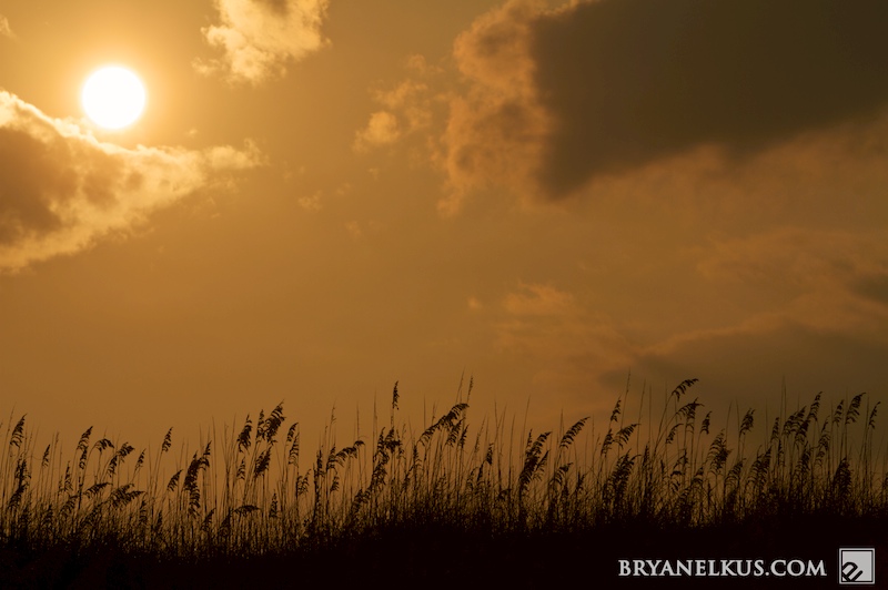 BRYANELKUS_260086