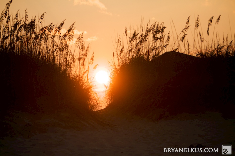 BRYANELKUS_260218
