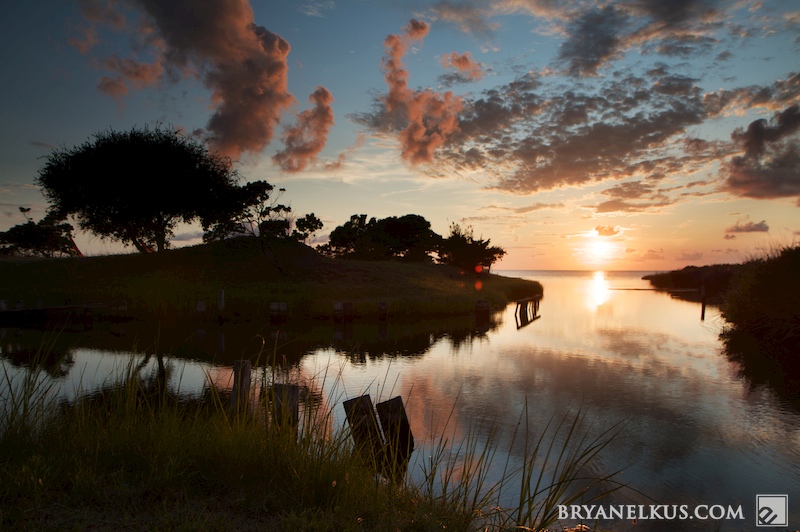 BRYANELKUS_261436b