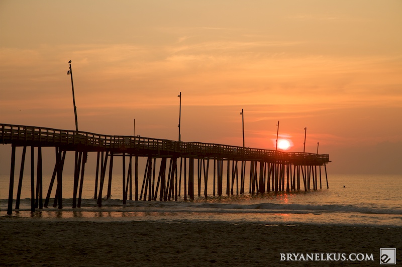 BRYANELKUS_262151