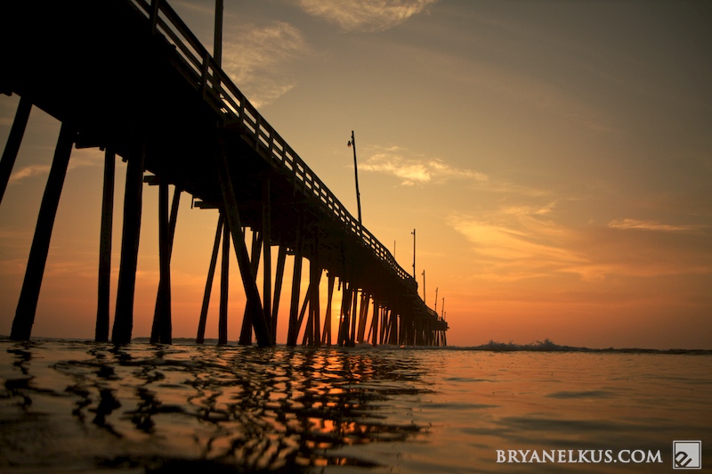 BRYANELKUS_262224
