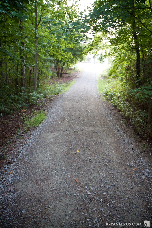 BRYANELKUS_262370