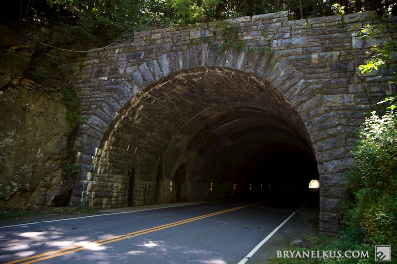BRYANELKUS_262880