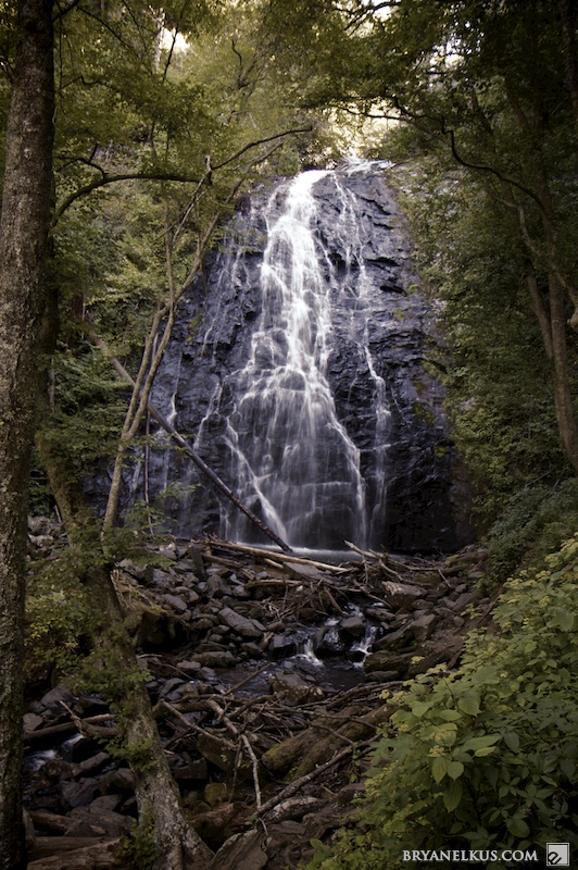BRYANELKUS_263082