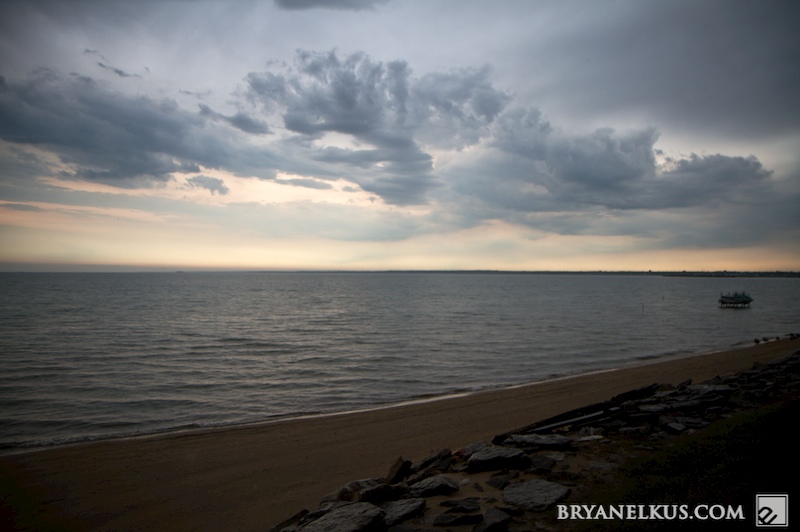 BRYANELKUS_263431