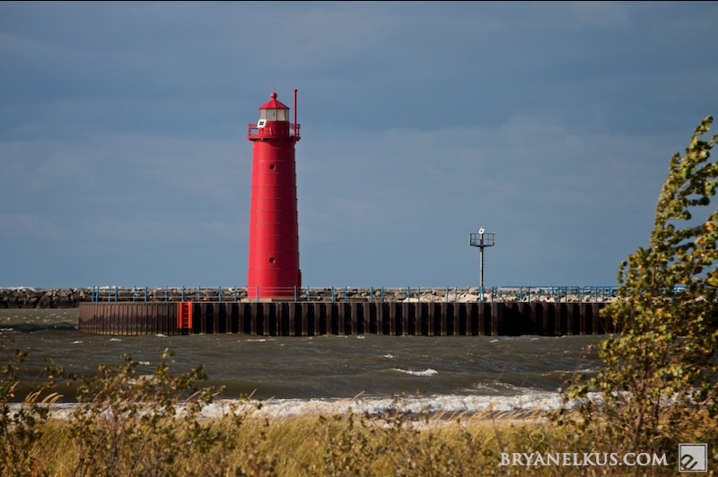 BRYANELKUS_267767