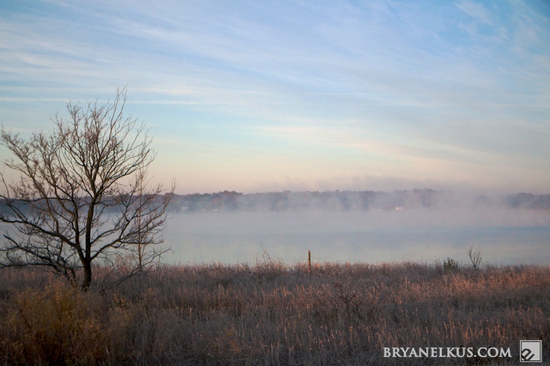 BRYANELKUS_268181