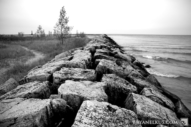 BRYANELKUS_268207