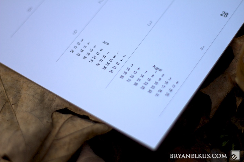 BRYANELKUS_269044