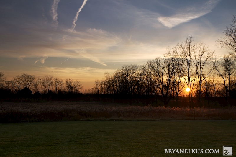 BRYANELKUS_269058b