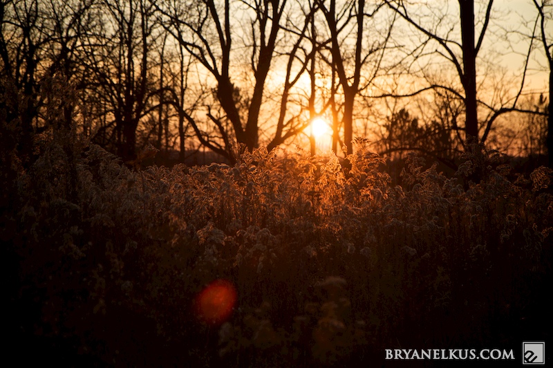 BRYANELKUS_269060