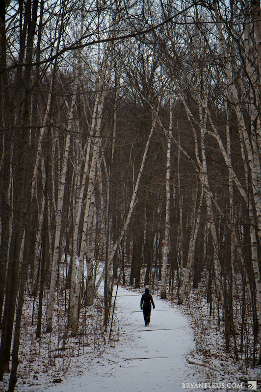 BRYANELKUS_270074