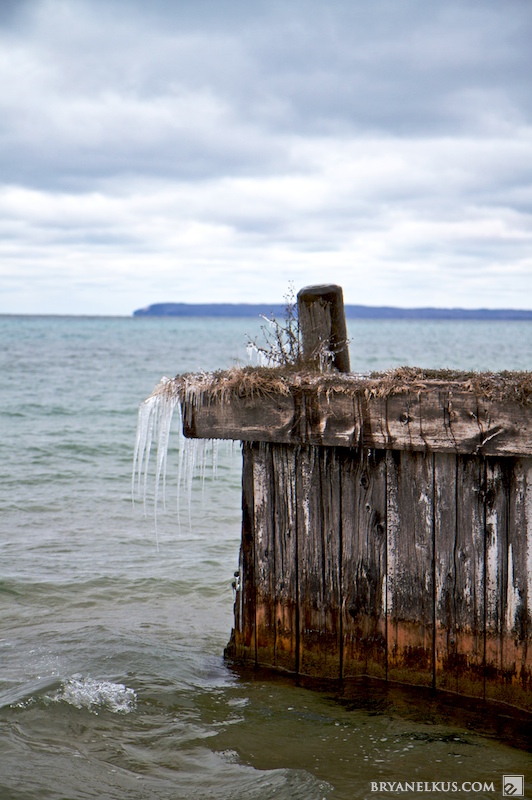 BRYANELKUS_270204