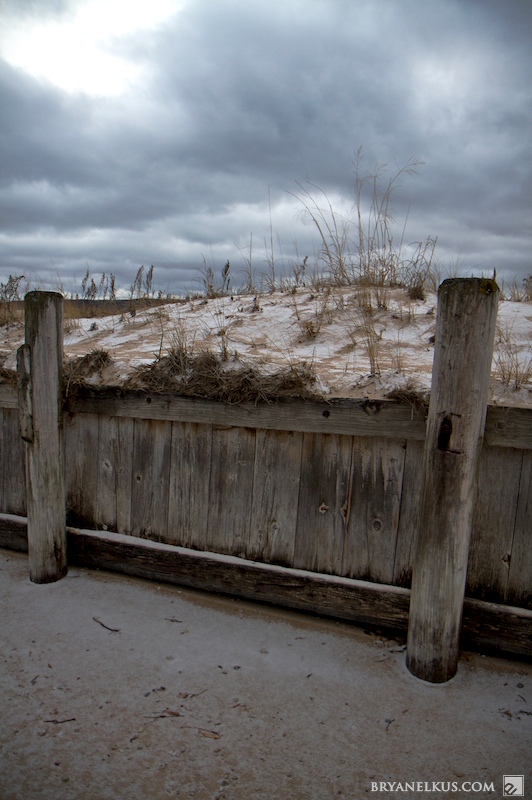 BRYANELKUS_270229