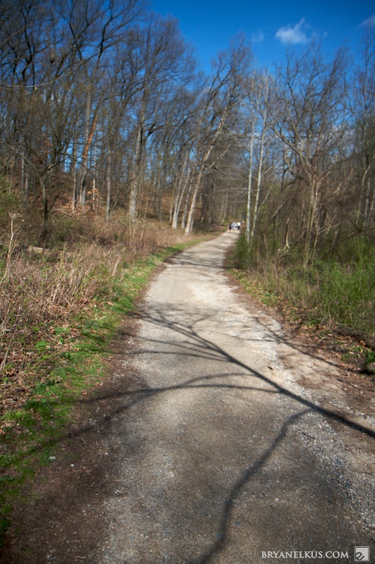 BRYANELKUS_278132
